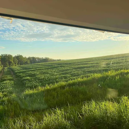 Zeitlberg Panoramawohnung Mit Privat