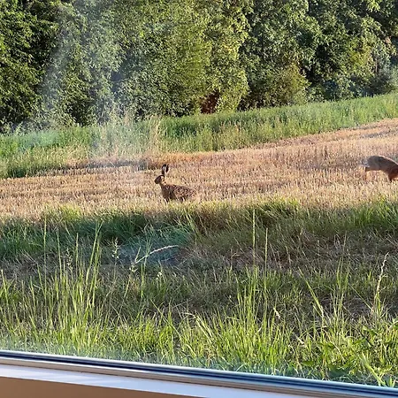 Zeitlberg Panoramawohnung Mit Privat *