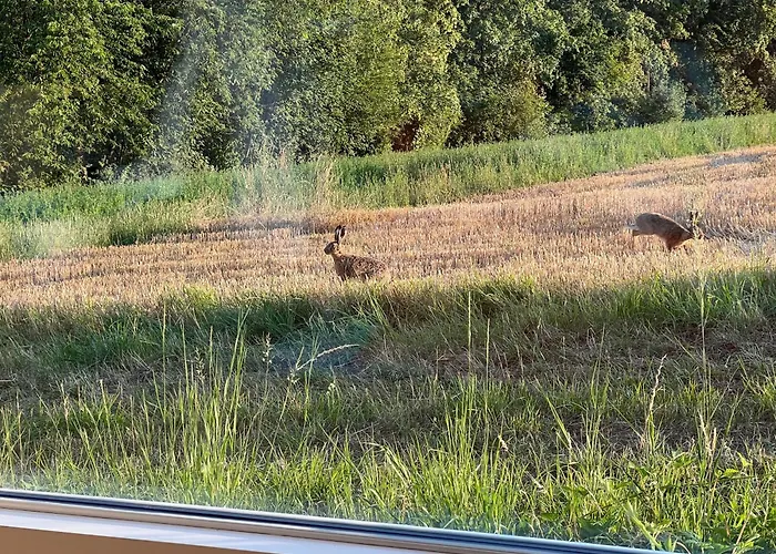 Zeitlberg Panoramawohnung Mit Privat *